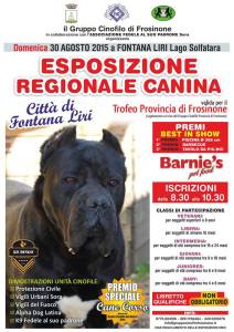 esposizione canina
