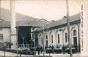 cartolina (9)