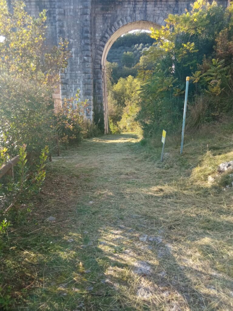 IMG-20251009-WA0016