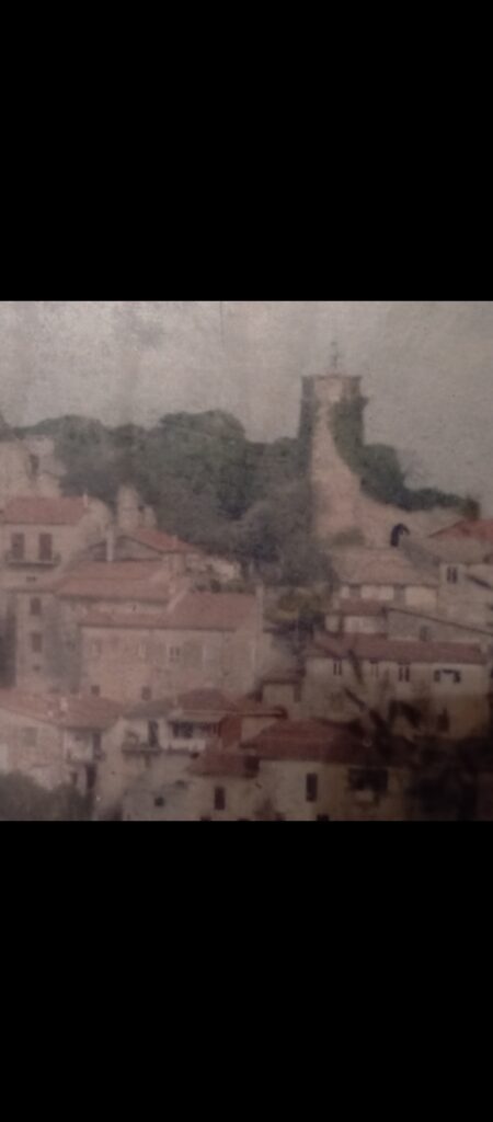 Screenshot_2025-11-12-00-04-57-594_com.miui.gallery