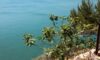 IMG-20220520-WA0039