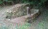 IMG-20251004-WA0010