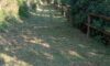 IMG-20251009-WA0017