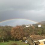 IMG-20260124-WA0009