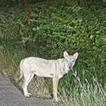 IMG_20261001_004413